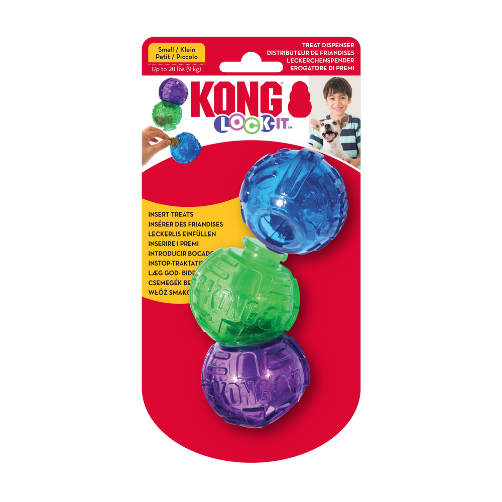 KONG Lock-it Dog Toy