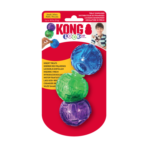 KONG Lock-it Dog Toy
