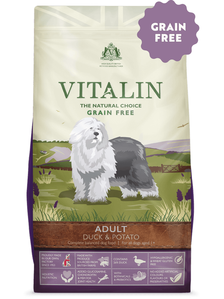 Vitalin Adult Duck & Potato Grain Free Dry Dog Food 12kg