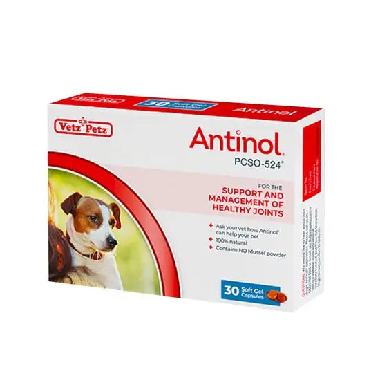 Antinol Natural Joint Supplement for Dogs