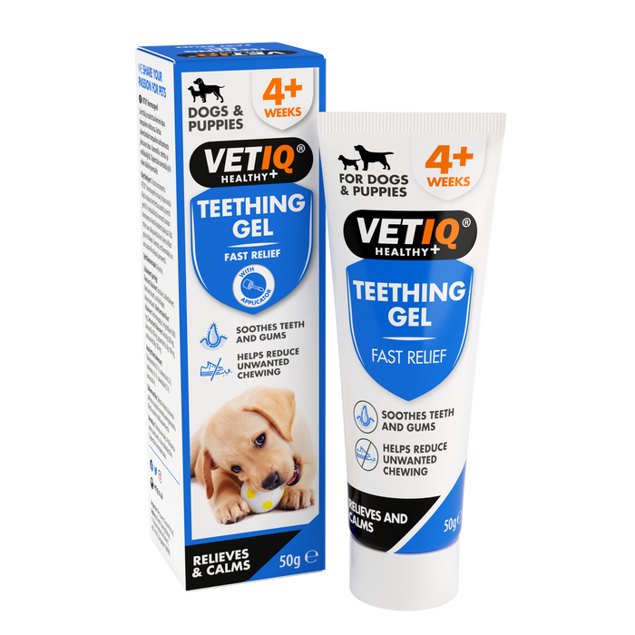 VetiQ Teething Gel for Puppies 50g