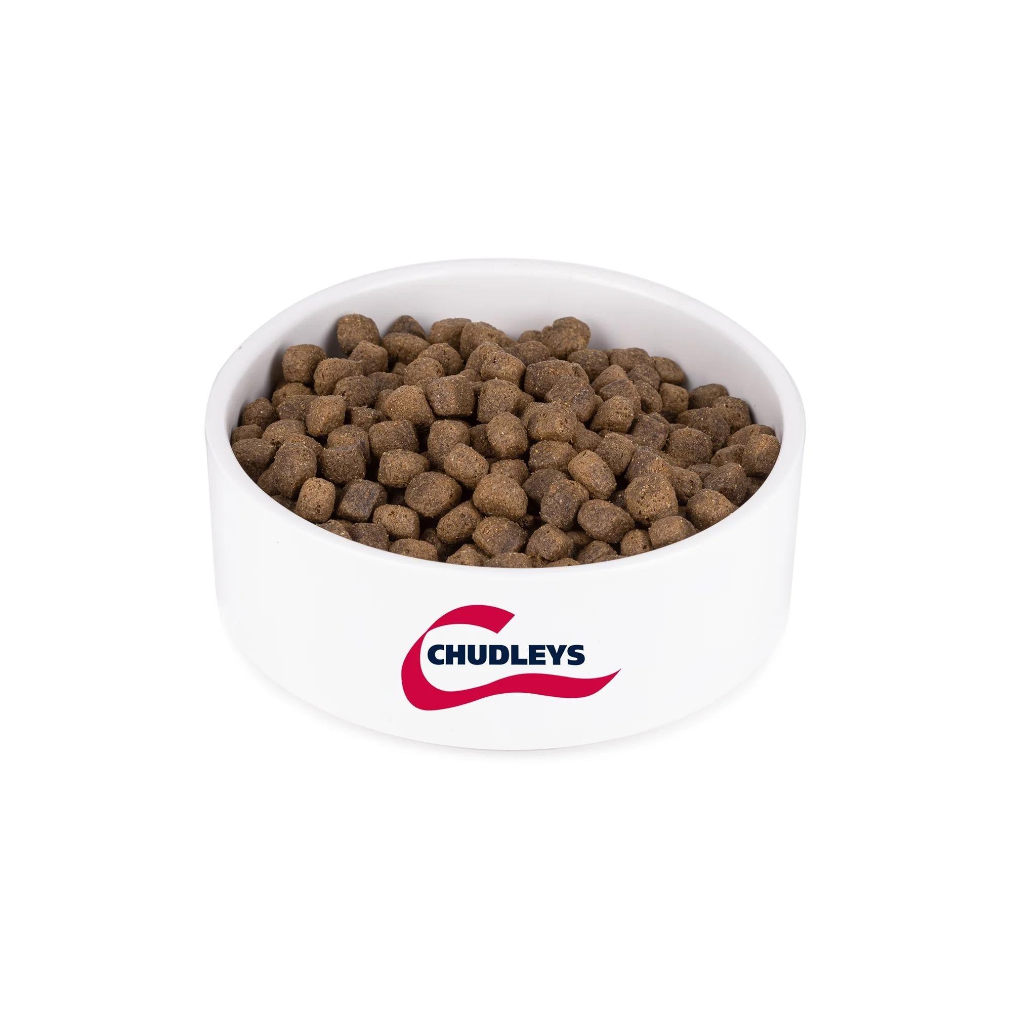 Chudleys Salmon with Rice & Vegetables Dry Dog Food 14kg