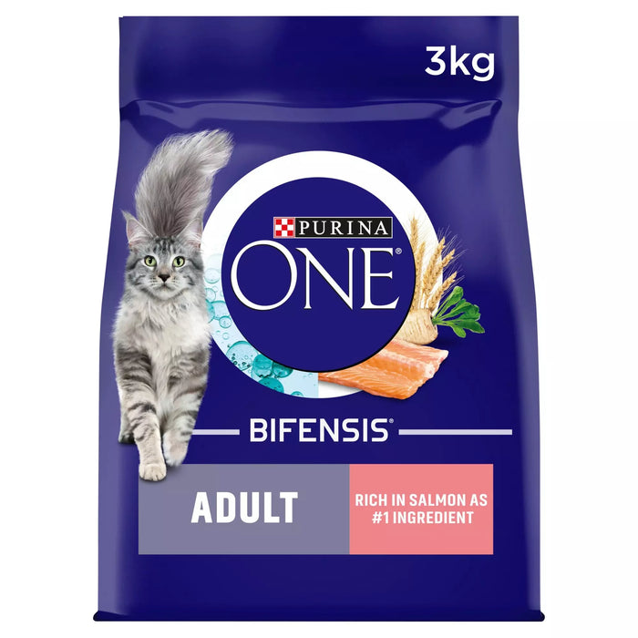 Purina One Adult Salmon Dry Cat Food