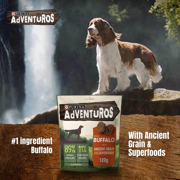 Adventuros Ancient Grain and Superfoods Rich in Buffalo Dog Treats 120g