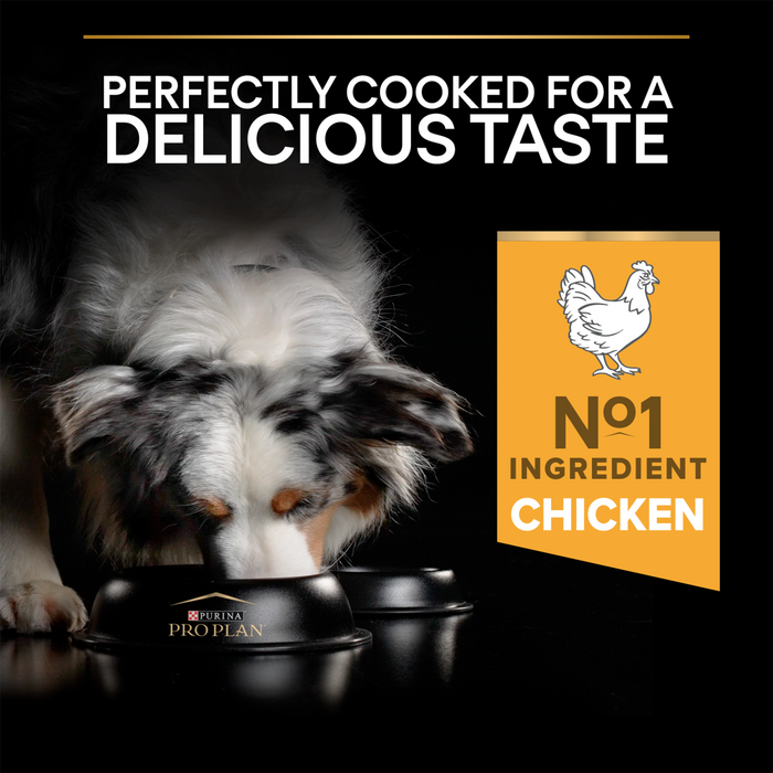 Pro Plan All Size Adult Light Sterilised Chicken Dry Dog Food