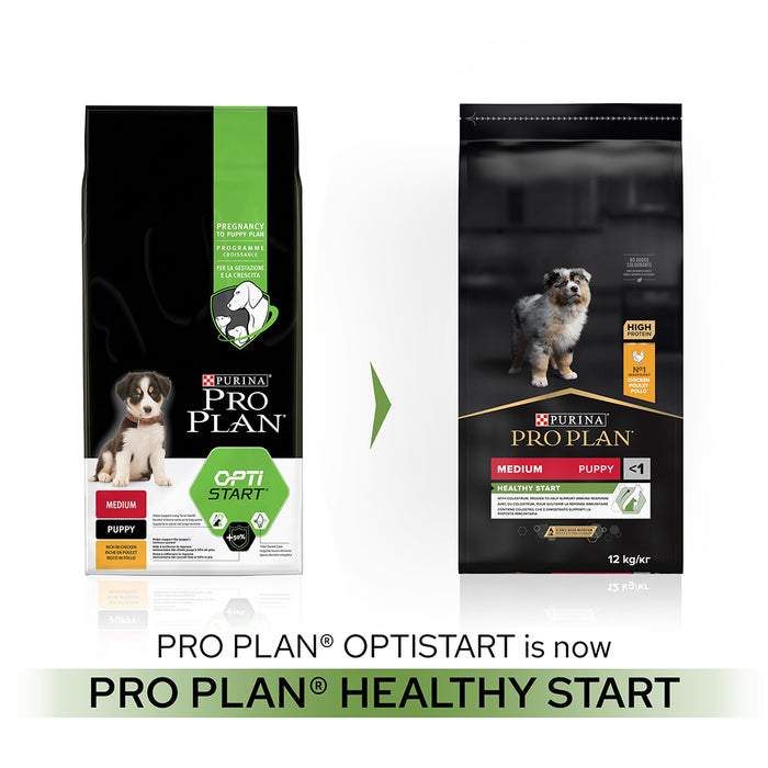 Pro Plan Medium Puppy Healthy Start Chicken Dry Dog Food