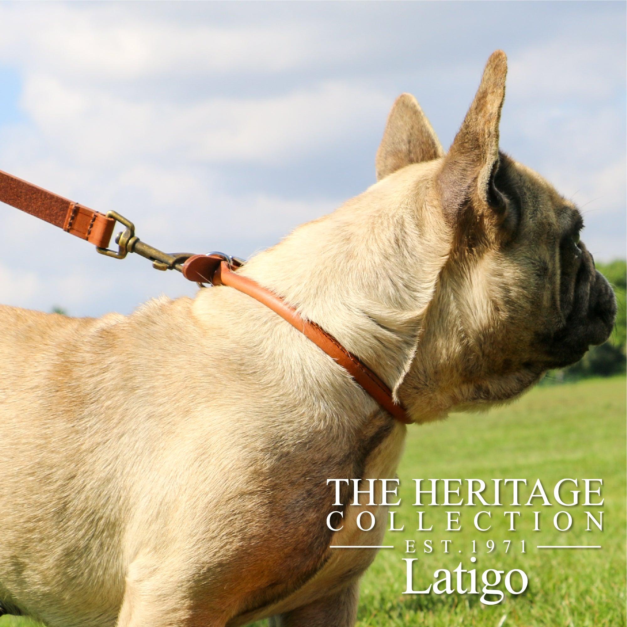 Ancol Round Leather Collar Chestnut Size XXS (20-26cm)