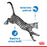 Royal Canin Adult Indoor 7+ Sterilised Gravy Wet Cat Food