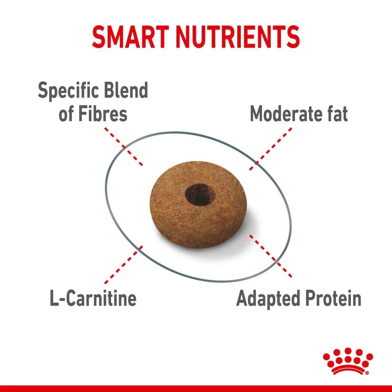 Royal Canin Adult Appetite Control Care Dry Cat Food