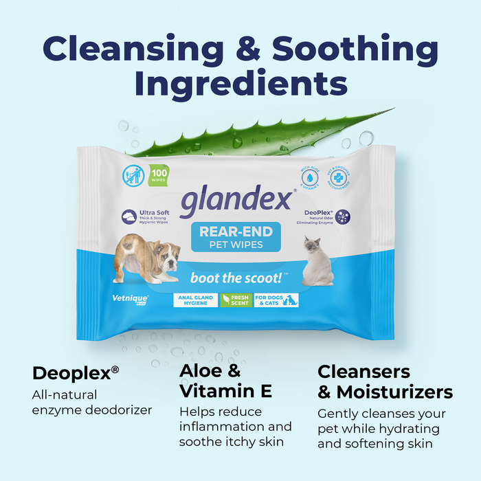 Vetnique Labs Glandex Anal Gland Hygienic Pet Wipes 75 Count