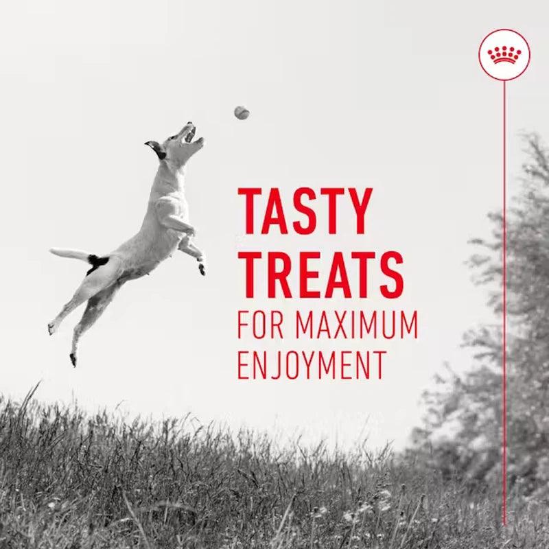 Royal Canin Training Treats Low Calorie Tasty Chews Vitamins C & E 110g