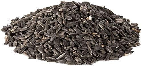 Extra Select Black Sunflower Seed