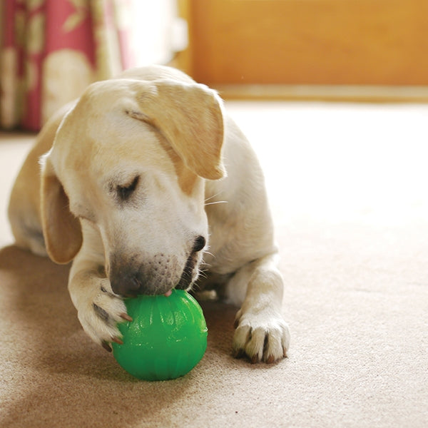 Rosewood Treat Dispensing Chew Ball Dog Toy Medium