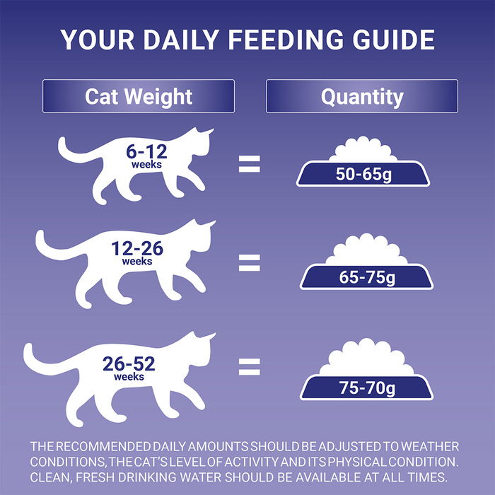 Purina One Kitten Chicken Dry Cat Food 2.8kg