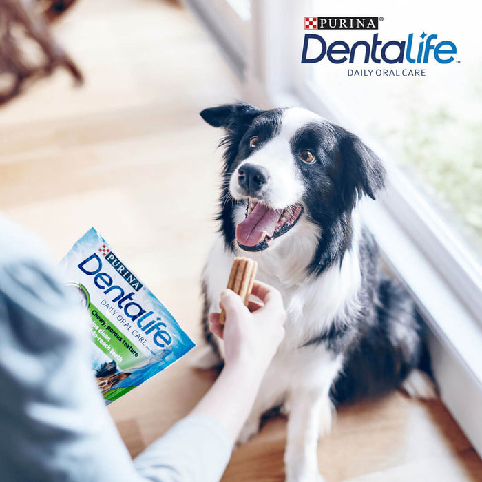 Dentalife Medium Dog Dental Dog Chews