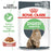 Royal Canin Adult Digest Sensitive Chunks In Gravy Wet Cat Food