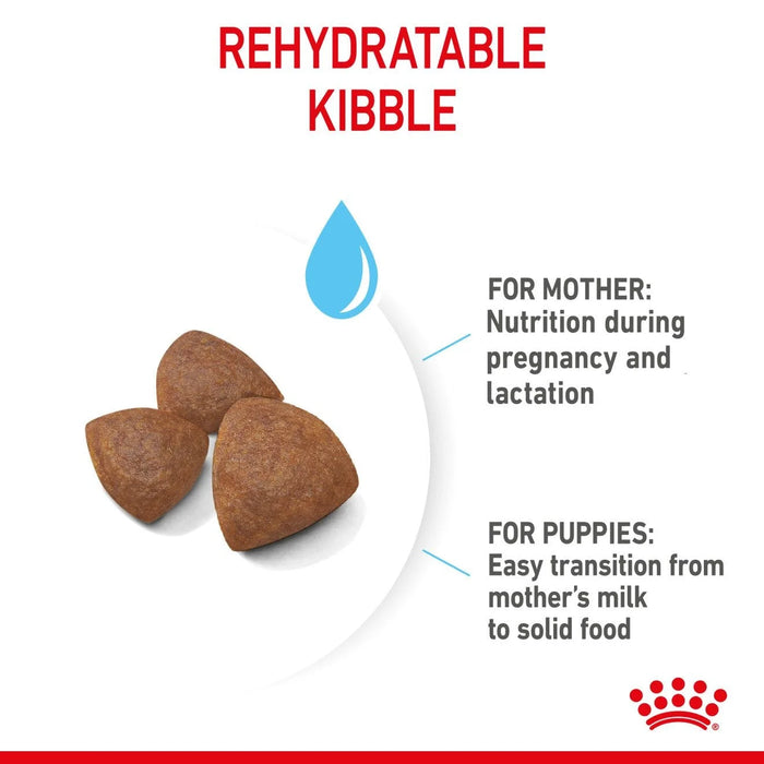 Royal Canin Mother & Babydog Medium Starter Dry Dog Food
