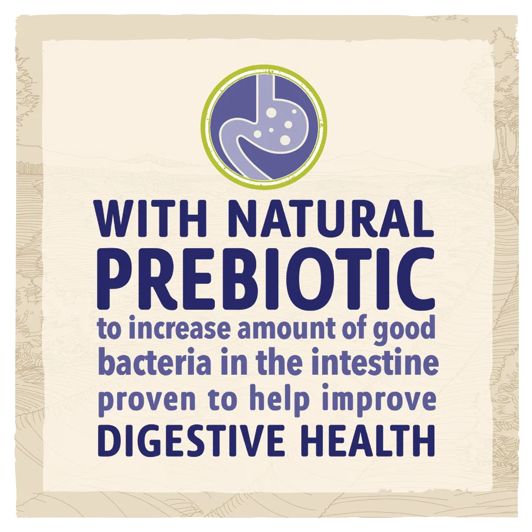 Beta Adult Sensitive Salmon Dry Dog Food