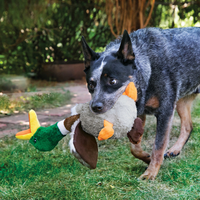 KONG Shakers Honkers Duck for Dog Toys