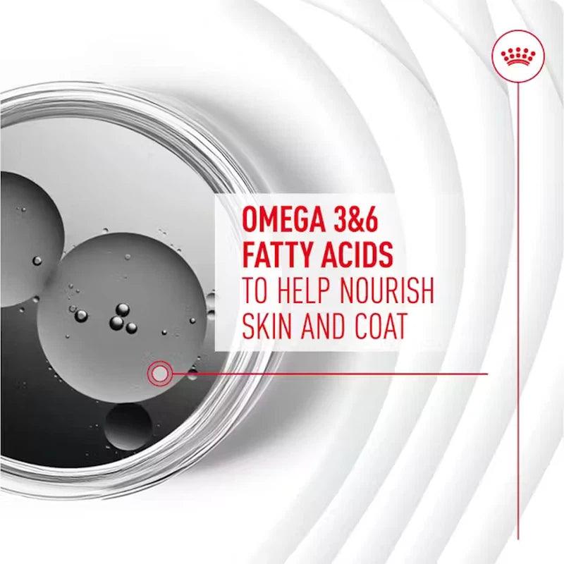 Royal Canin Dog Supplement for Skin & Coat Soft Chews 240g