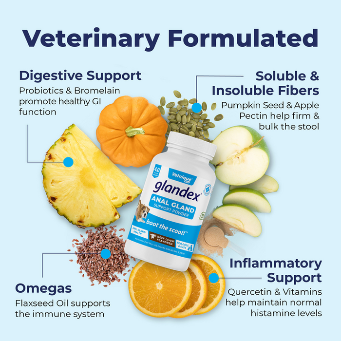 Vetnique Labs Glandex Anal Gland Powder Supplement for Dogs & Cats with Pumpkin 70g