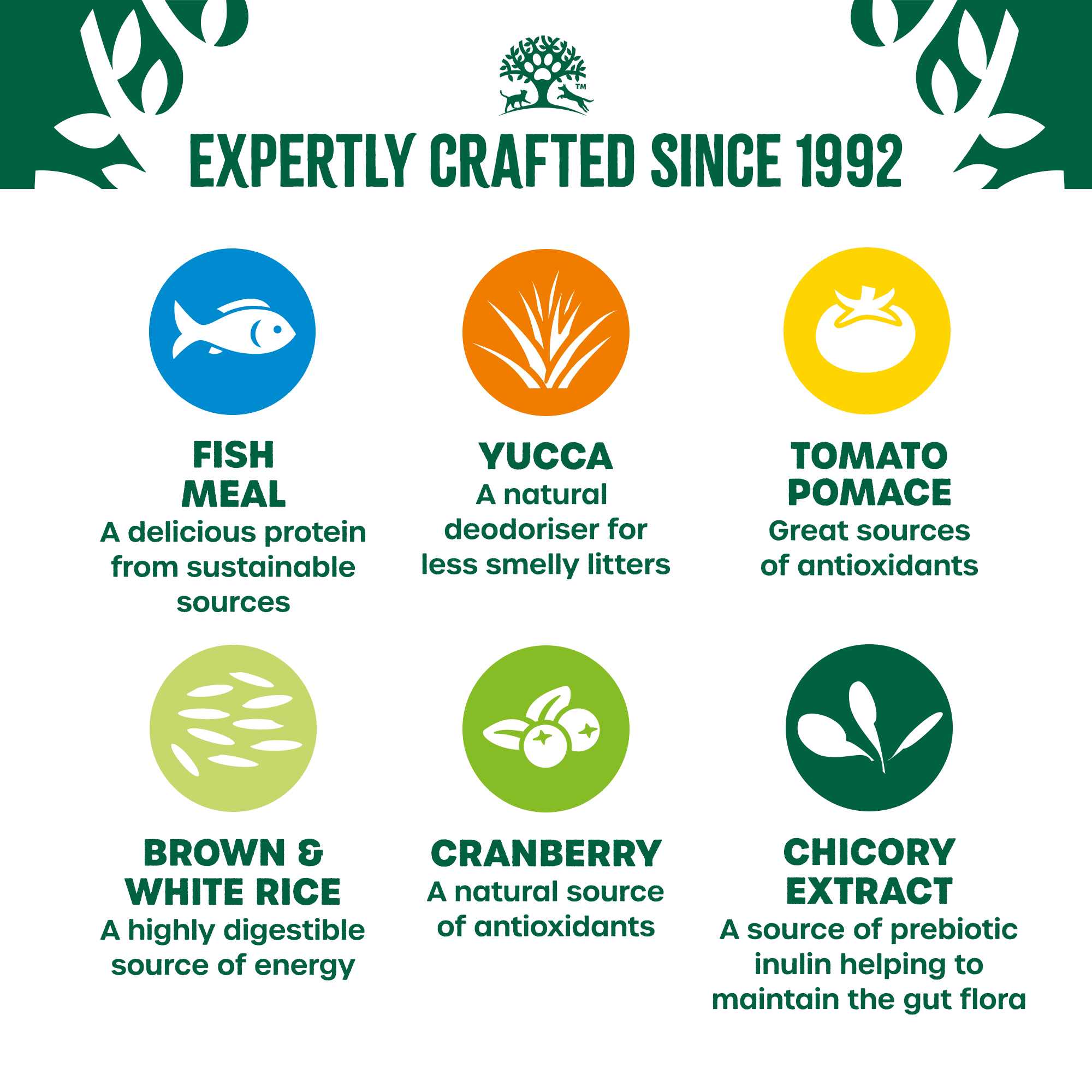 James Wellbeloved Adult Fish & Rice Dry Cat Food