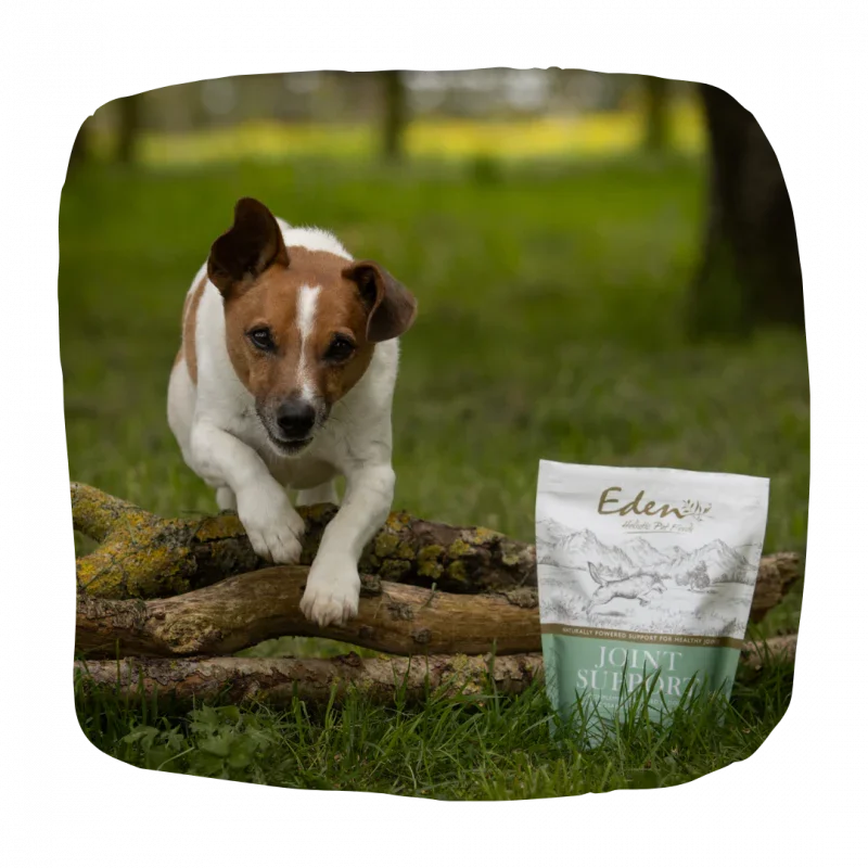 Eden Joint Support Supplement For All Life Stages Dogs