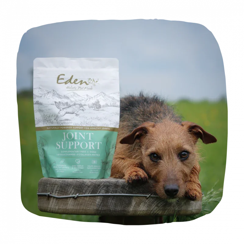 Eden Joint Support Supplement For All Life Stages Dogs