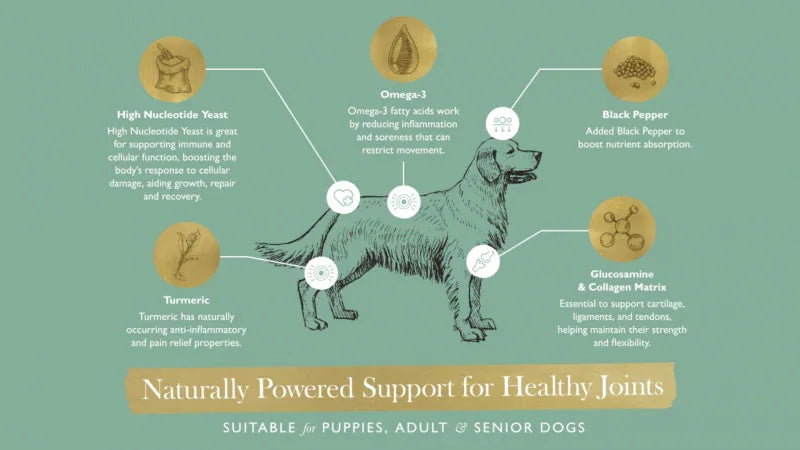 Eden Joint Support Supplement For All Life Stages Dogs