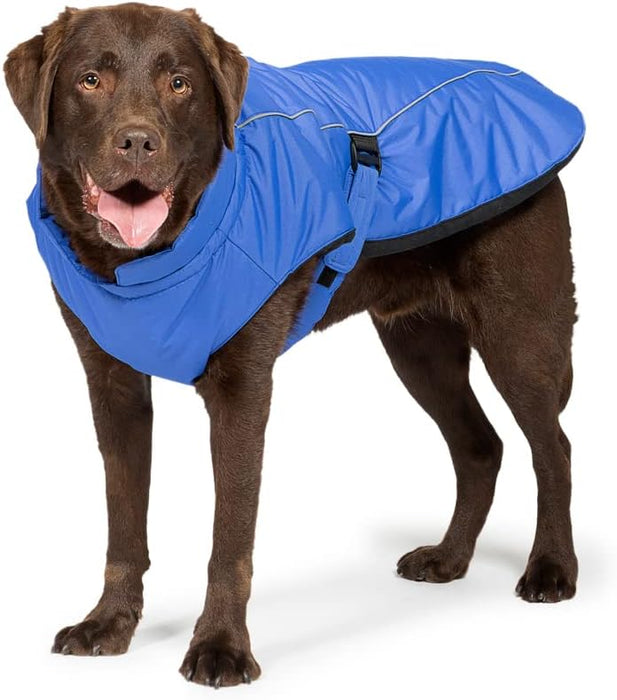 Danish Design Blue Sports Luxe Dog Coat