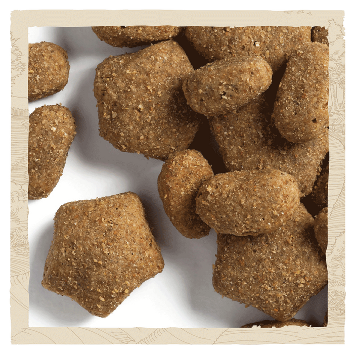Beta Adult Sensitive Salmon Dry Dog Food