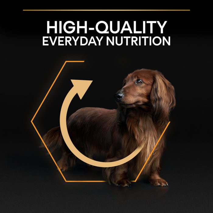 Pro Plan Adult Small and Mini Everyday Nutrition Chicken Dry Dog Food