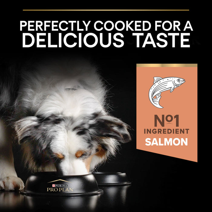 Pro Plan Adult Medium Sensitive Skin Salmon Dry Dog Food