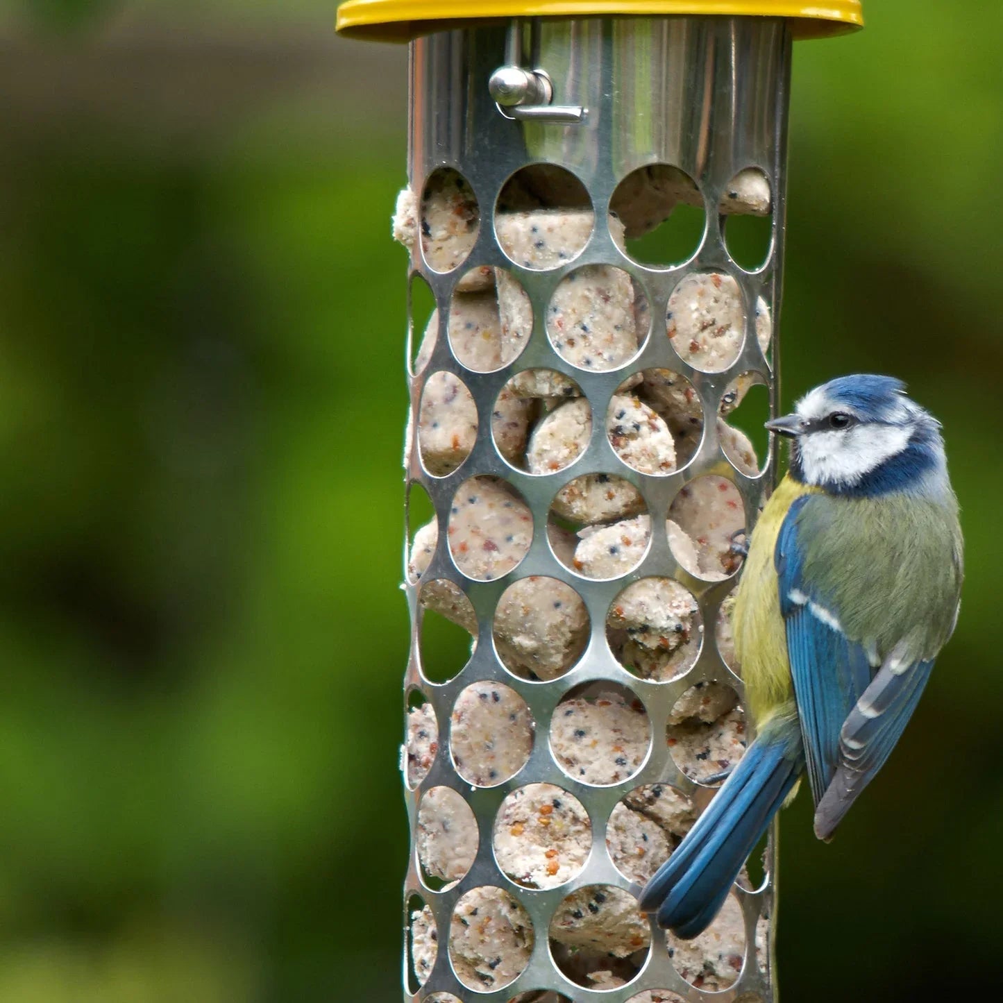 Peckish Extra Goodness Nuggets 2kg (100 in packs)