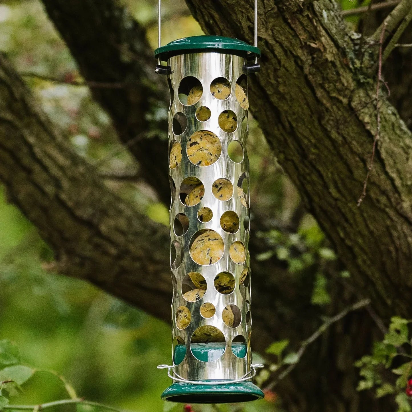 Peckish Extra Goodness Energy Balls Bird Food Tub 50 pack + 20% Extra Free