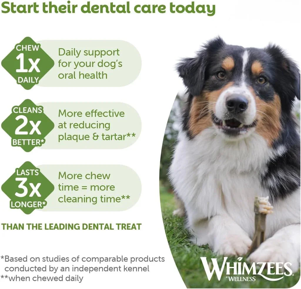 Whimzees Toothbrush Dental Treat for Large Dogs 6 pack