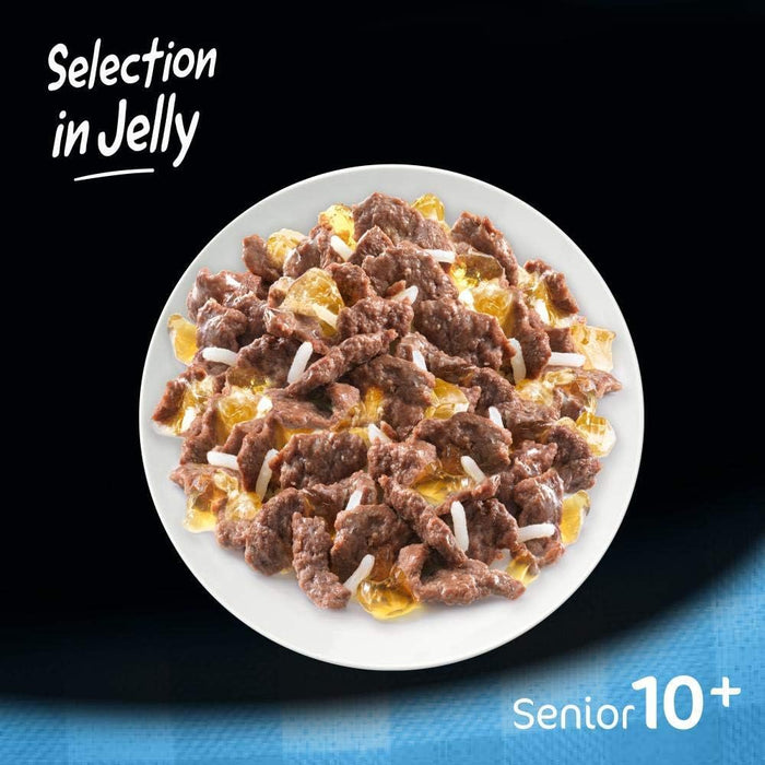 Cesar Senior 10+ Selection in Jelly Wet Dog Food 12 x 100g