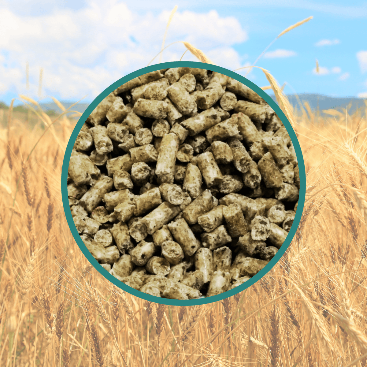 Copdock Mill Copdock Mill Range Layers Pellets Poultry Food – PetsMagnet.co.uk