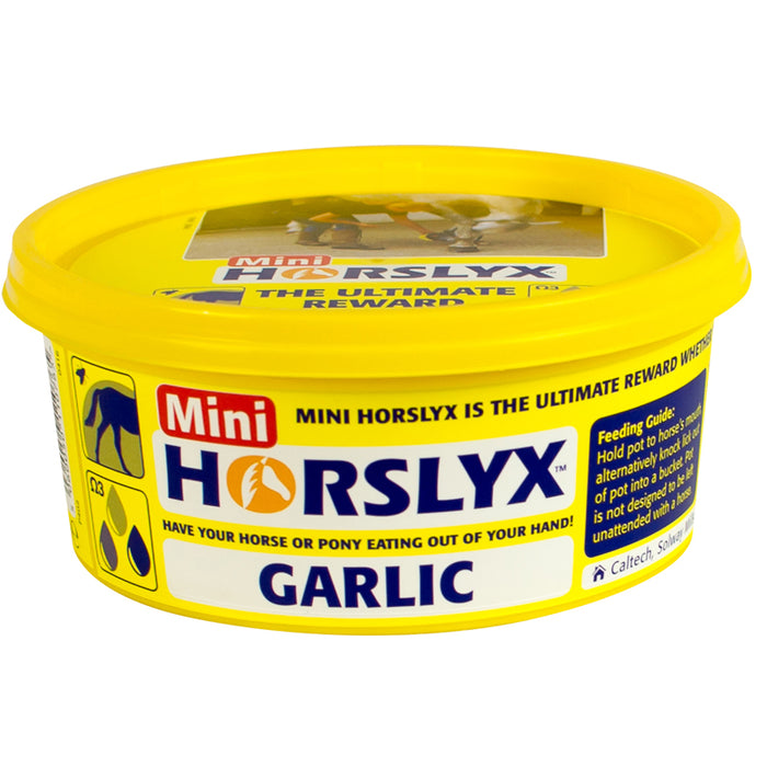 Horslyx Mini Garlic Balancer Equine Supplement 650g