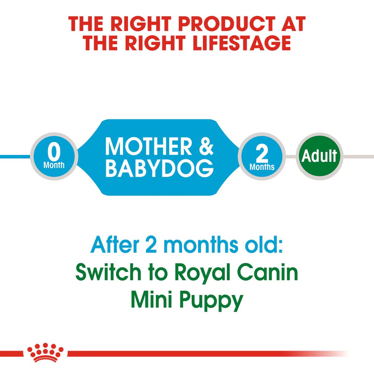 Royal Canin Adult and Puppy Mini Starter Mother & Babydog Dry Dog Food