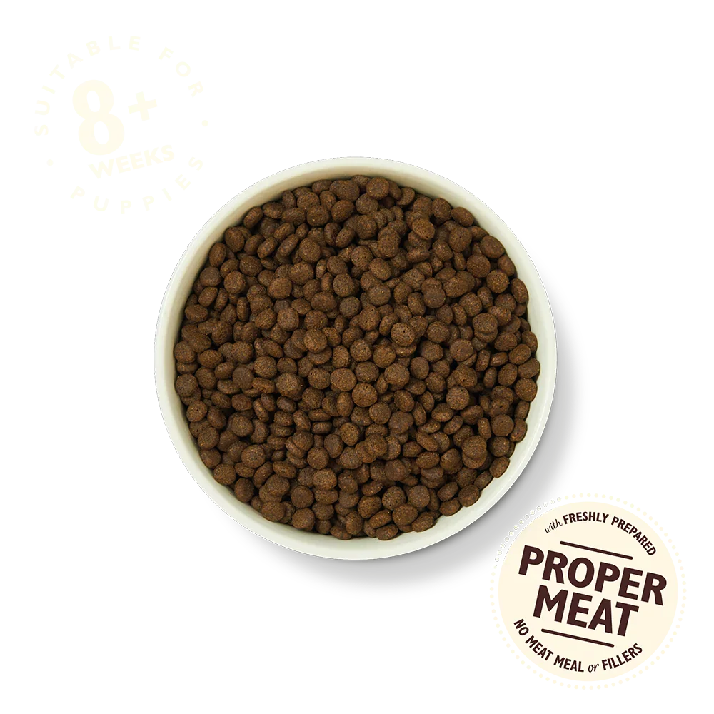 Lily's Kitchen Grain Free Puppy Recipe Chicken & Salmon Dry Dog Food