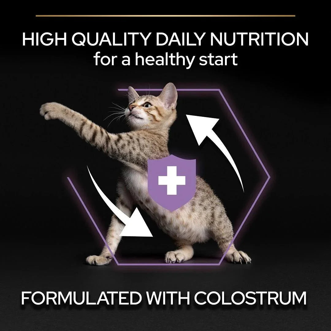 Pro Plan Kitten Healthy Start Chicken Dry Cat Food