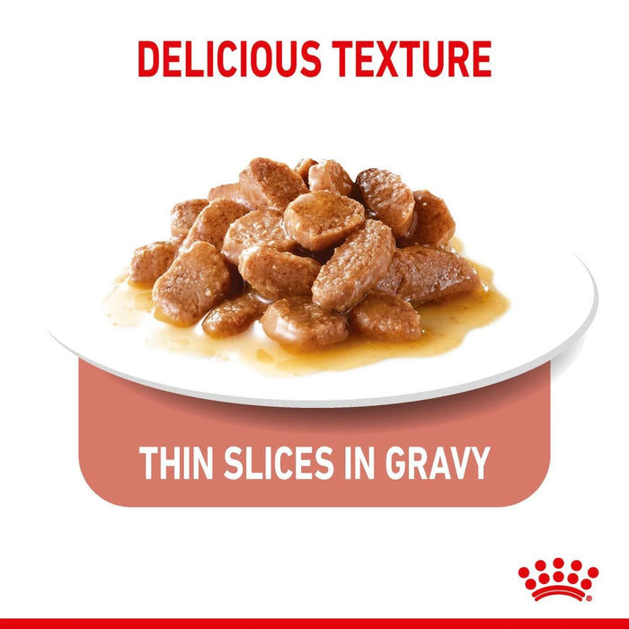 Royal Canin Adult Appetite Control Care Thin Slices In Gravy Wet Cat Food