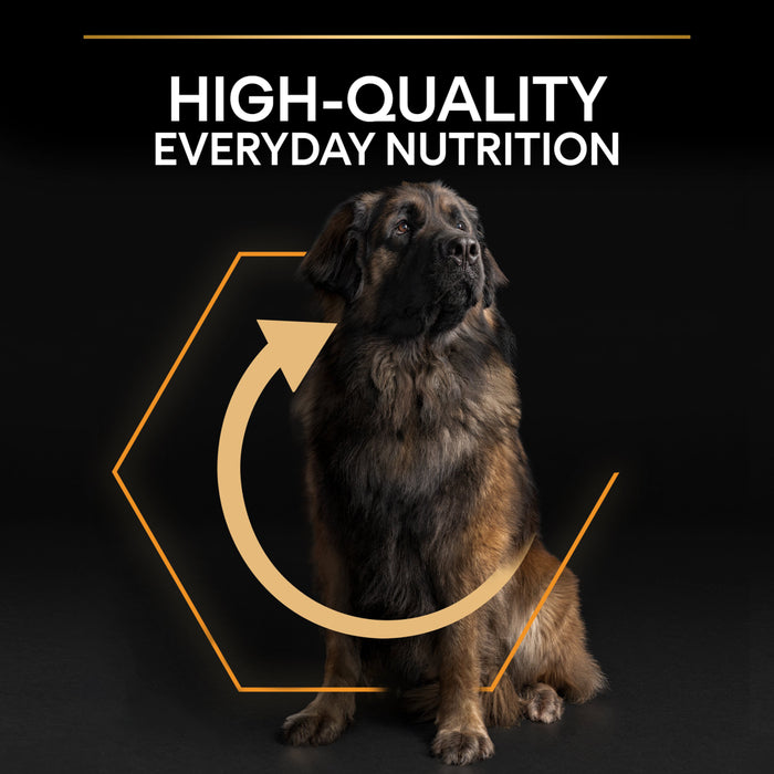 Pro Plan Adult Large Robust Everyday Nutrition Chicken Dry Dog Food 14g