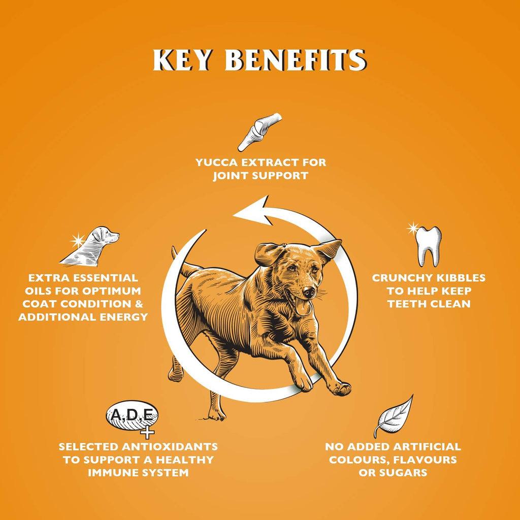 Dr John Gold Rich in Chicken with Vegetables Dry Dog Food 15kg