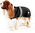 Danish Design The Ultimate 2-in-1 Black Dog Coat