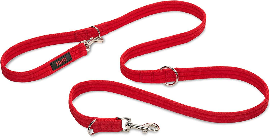 Halti Training Lead for Dog