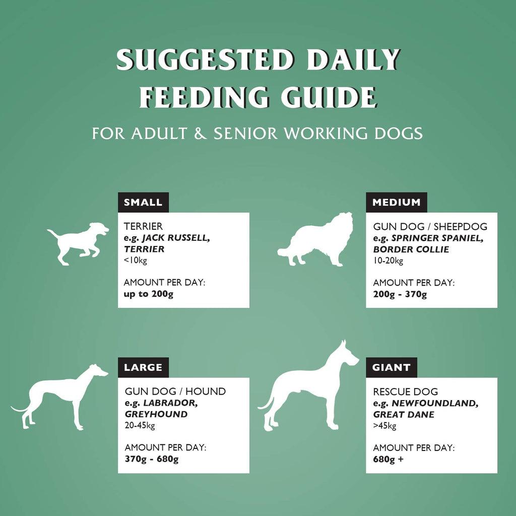 Dr John Hypoallergenic Chicken with Oats Dry Dog Food