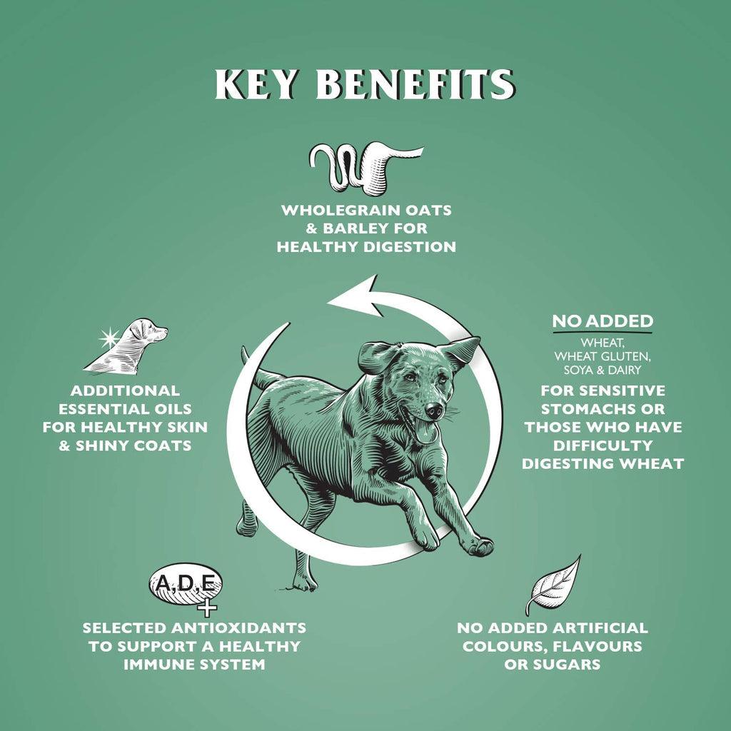 Dr John Hypoallergenic Chicken with Oats Dry Dog Food