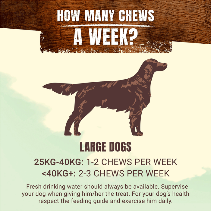 Adventuros Wild Chew Large Venison Dog Treats 200g